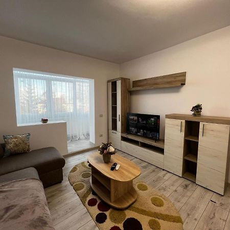Cozy Urban Accommodation In Beautiful Сучава Экстерьер фото